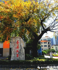 2020�ϰ�����ʯСѧ������CBD���к�ѧУ����֪ͨ����Ƭ��Χ