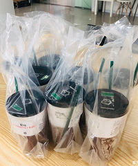 跟风买的网红柠檬茶翻车了,网红产品到底还能不能跟?