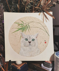 新买的高地猫一点也不怕生,晚上还要和我女儿一起睡觉