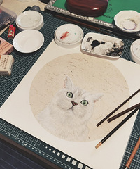 新买的高地猫一点也不怕生,晚上还要和我女儿一起睡觉