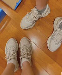 �����һ�ۿ��е���Ҷ�ݣ��Ͻ���ĺ��������