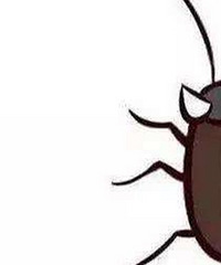 Ͽһֻ޴͵ţȻµȫ˯