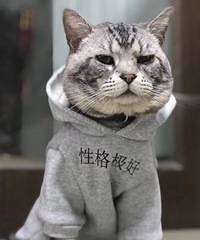 我家的两只猫感觉都有大哥气质,出去和其他猫打架都是占上风