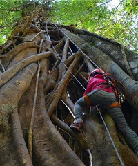 �⼸�껨��10w�飬�ײ��������������ζȼٵأ���Щֵ��ȥ