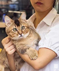 铲屎官们快接招,在这给家里的萌宠洗澡体验太好了