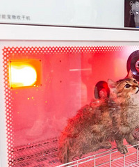 铲屎官们快接招,在这给家里的萌宠洗澡体验太好了