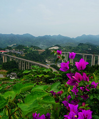 周家山,云龟山乘凉露营记