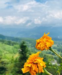 当日往返的天星小镇、风吹岭、山王坪农家乐一日游