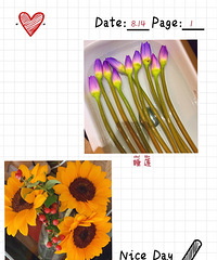 大部分技能都是逛街买买买get到的,譬如养花。【直播逛街26季】