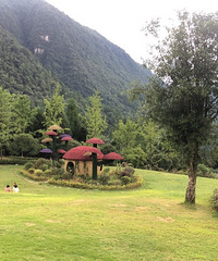 带着娃儿找个凉快设施好的地方露营,耍事多还能BBQ,太安逸了