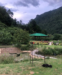 �����޶��Ҹ�������ʩ�õĵط�¶Ӫ��ˣ�¶໹��BBQ��̫������