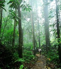 这几年花了10万块,亲测告诉你国内亲子游度假地,哪些值得去