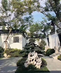 西永豪宅来了,融创桃花源,据说400万起,这种风格你喜欢吗?