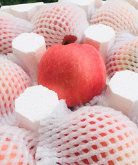 ���ƻ����ͷ��&����&�࣬����������