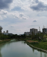 两岸花开,岸绿景美,苦溪河畔走一圈