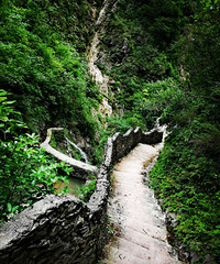 一个被废弃的景区也能带来意外的惊喜