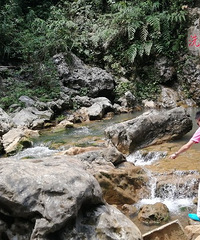 小猴子和小熊猫的天意谷,耍水太欢乐了