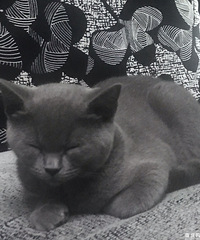 èһҲʳϲ⣬ȷţ