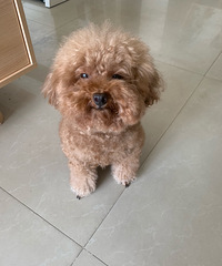 ԭҲǻЦİɣЦеӣıڻ