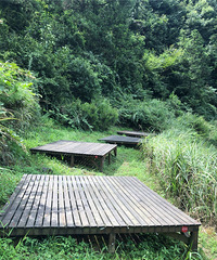 盛夏綦江花坝露营记~
