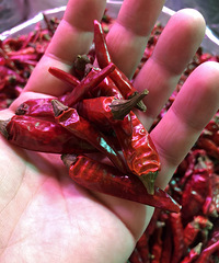 ̽ϪгֽѡԼ۱ߵĸɻ