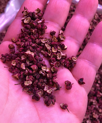 ��̽��Ϫ���������г�����ЩƷ�ֵ��Լ۱����