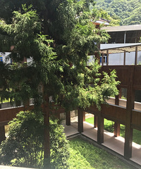 ��ĩ��ɽ������ˣˮ������