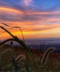 适合露营和看日出日落好地方