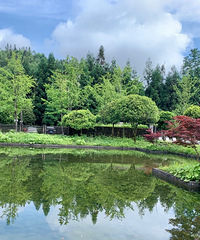 仙女山避暑,除了著名景区还有其他地方可以转,摘农家菜好安逸
