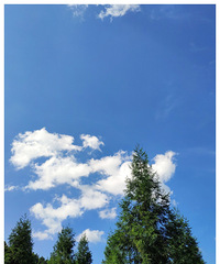 ��������������������