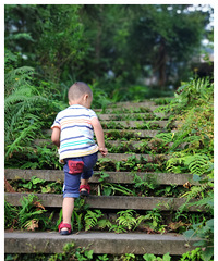 ��������������������