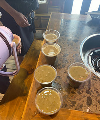 ż��һ��80���ھŽ������۵����ţ�����������������