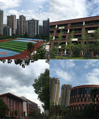 管管打探9月即将开学的石子山、重光小学、西附金州、竹林校区