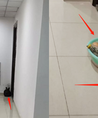 美女邻居总把生活垃圾扔门口,天气这么热味道不摆了,怎么办?