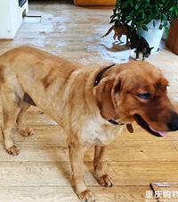 ���ѼҵĹ����ҵ��·�ҧ��һ�������ѵ�ʱ�е��ƶ�װ���������ģ�