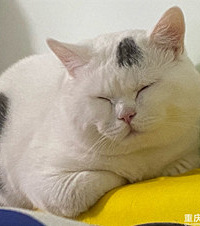 ɹɹҼֻӢ̣è˰ẹ̀˫˫