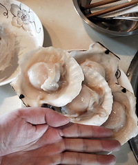 ����ĺ��������ֻ��㣬�ϰ廹��æ��ɱ�ӱ�