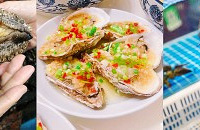 ����ĺ��ʼ�ֱ�ǰײ˼ۣ����ڿ������ٺ��ʴ����