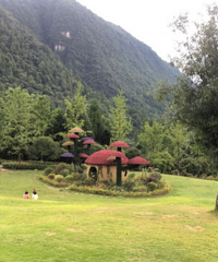 找个人少还凉快的地方露营,能洗热水澡还没蚊子,适合带娃儿去