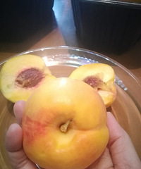 �����ƾ����ң��Ĵ�����â���ջ������ο���