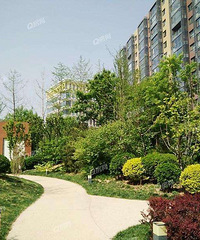 ͵ʽװޣҼҵĿյװô