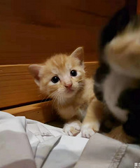 еèšͳˣɹɹҼһճ