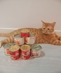 �е�è���������š��ͳ����ˣ�ɹɹ�Ҽ�������һ�������ճ�