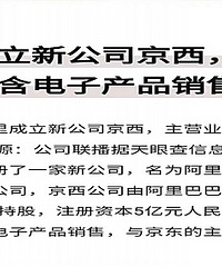 阿里爸爸成立了个“京西”,专门卖电子产品和京东对着干?!