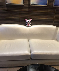 旧家具都怎么处理的?才4年的沙发倒贴都送不出去