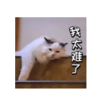 重庆“小升初”简历怎么写?这些制作要素不可缺少!