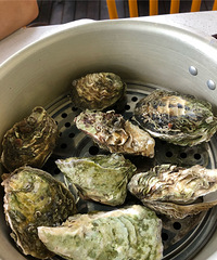 ������û�����������տ�����ȫû�ж�ˢ������