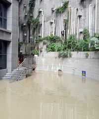 公司在嘉滨路洪崖洞附近,直击现场
