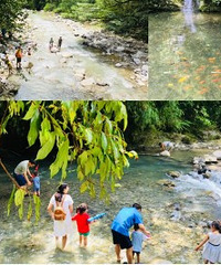 ɽȱ洦ɼСӹץз