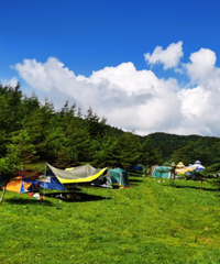 ȥ��Ժƺ�������¶Ӫ�����쾰ɫ�������������ĩ̫�����